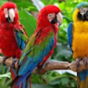 Meet your Posher, Owen